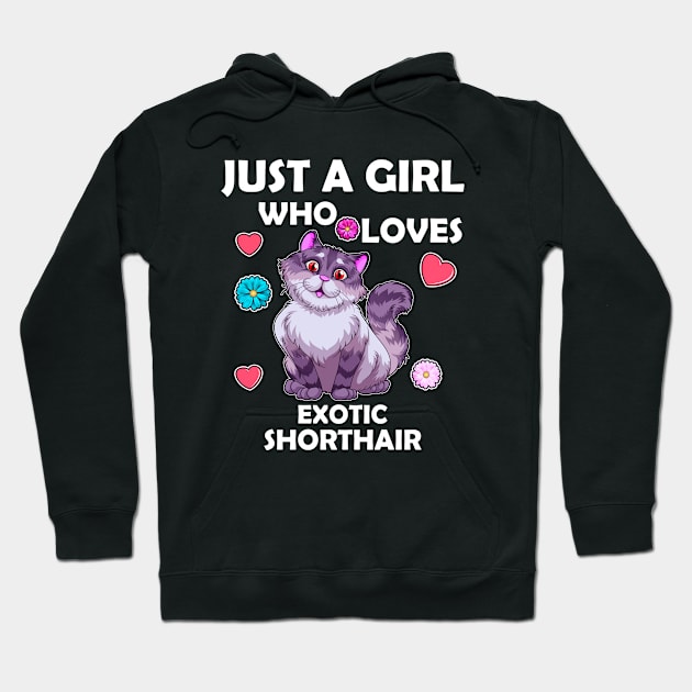 exotic shorthair Just A Girl Who Loves Cats Women Cat Lover Hoodie by Marcekdesign